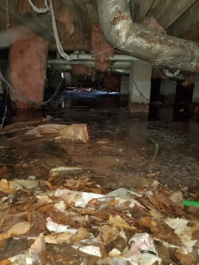 Crawl space flood assessment for Commercial Water Damage Restoration in Ward