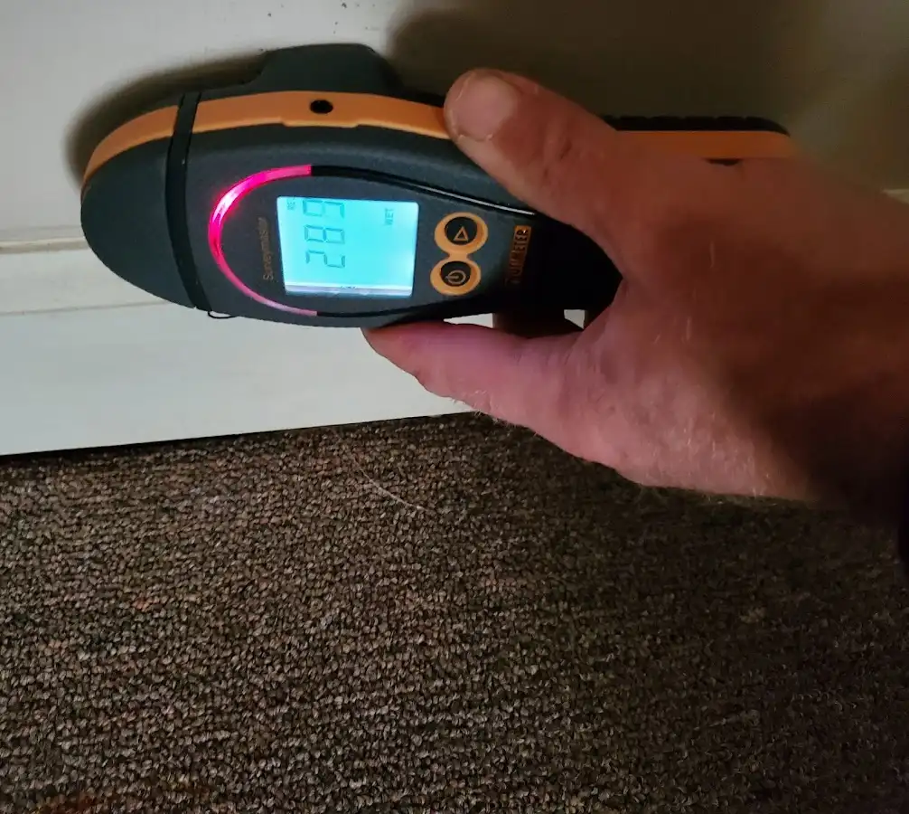 Moisture detection at baseboard during Burst Pipe Cleanup in Ward